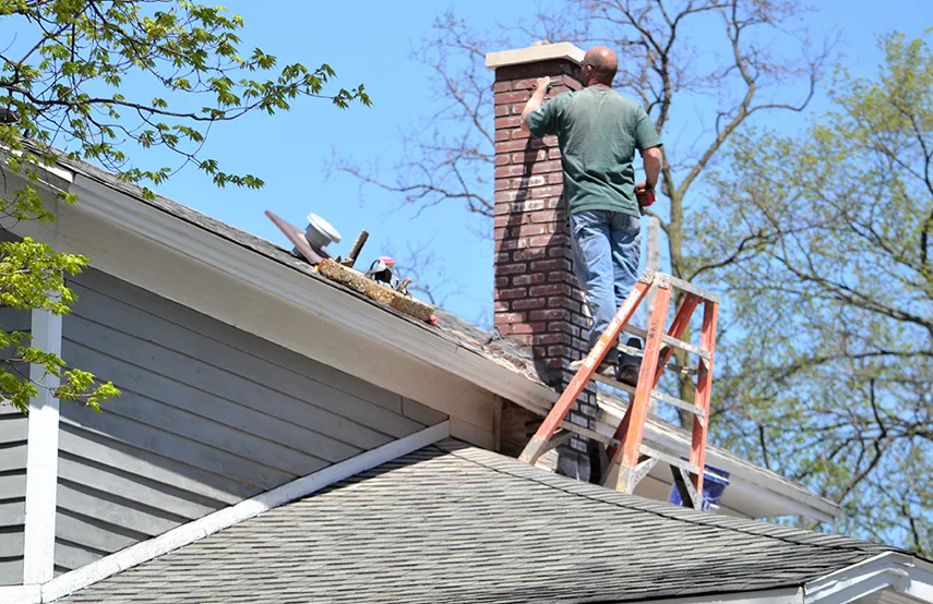 Chimney & Fireplace Inspections Services in Warren, MI